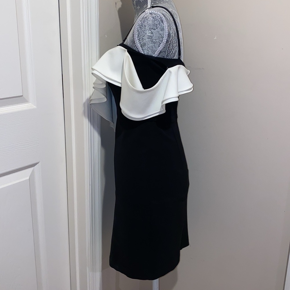 Parker Imani dress size XS NWOT - Picture 5 of 8